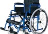 Пензенская компания «Термодом» предложила проект по переселению инвалидов-колясочников в специально спроектированные под их нужды таунхаусы