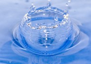 Вода — основа всего сущего
