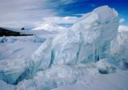 Биржевой лидер: ученые обнаружили новый вид жизни в Антарктиде