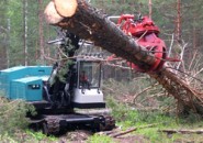 Виды лесозаготовительной техники
