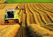 Миллион тонн зерна в Пензенской области